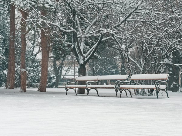 Comment prévenir l'ostéoporose : conseils pratiques
